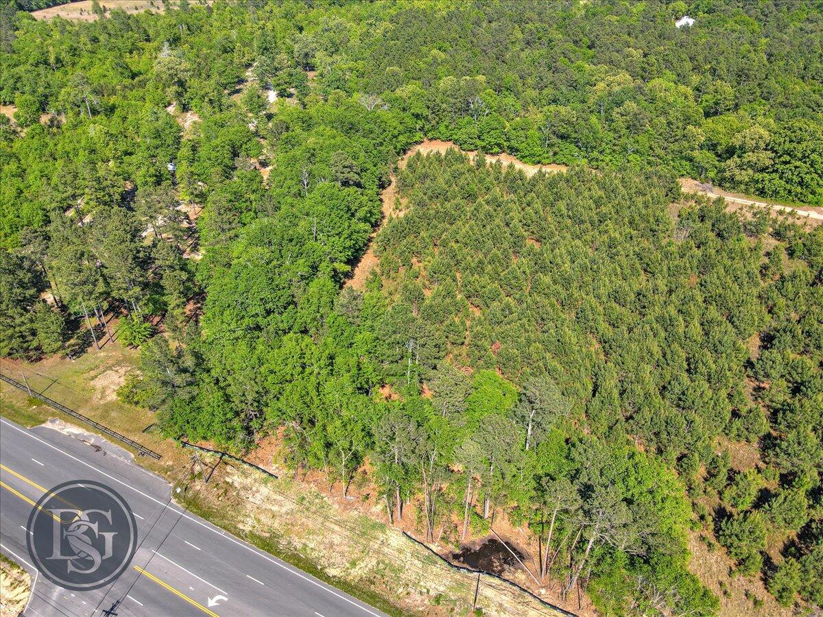 5230 Whiskey Road Aiken, SC 29803 - Photo 3 of 10