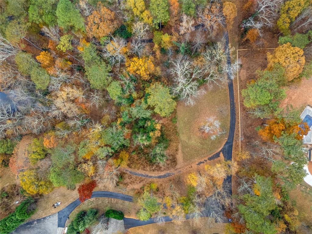 3116 Batesville Road Woodstock, GA 30188 - Photo 5 of 7 a view of a tree with a yard