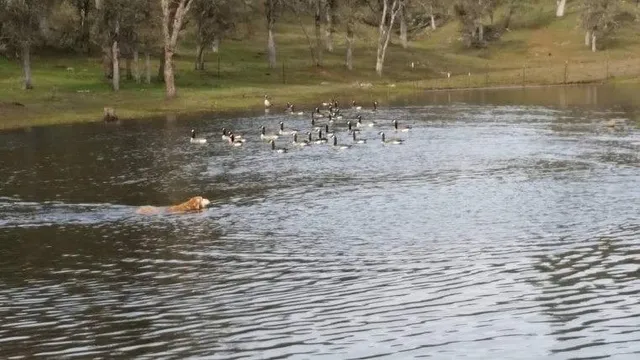 a living room with furniture kitchen view and a wooden floor