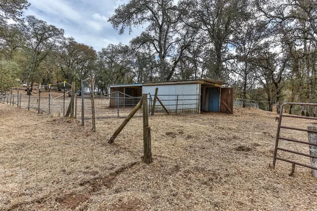 a view of outdoor space with trees all around