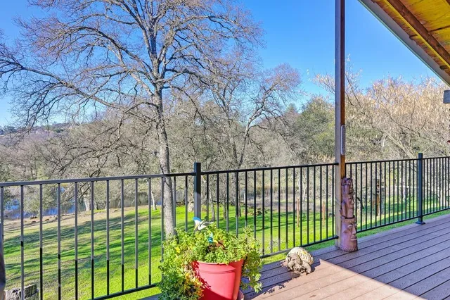 a big yard with trees in the background