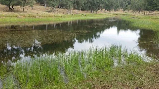 a living room with furniture a flat screen tv and a large window