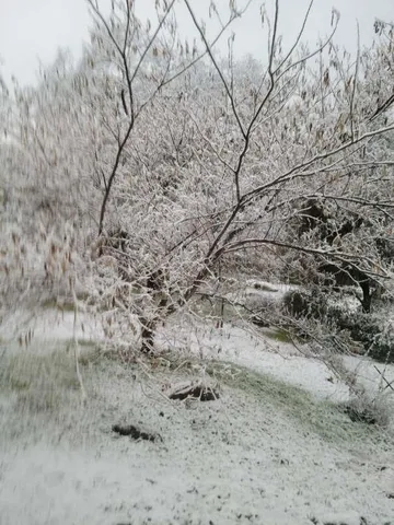 $799,900 | 22422 East Hacienda Drive, Grass Valley, CA 95949