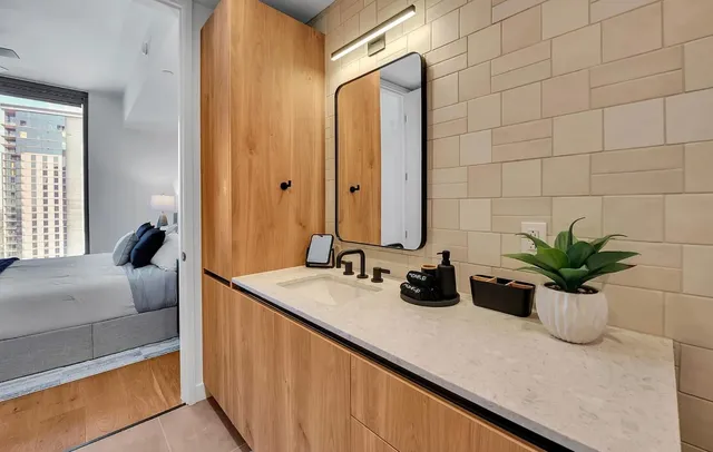 a bathroom with a potted plant and a sink