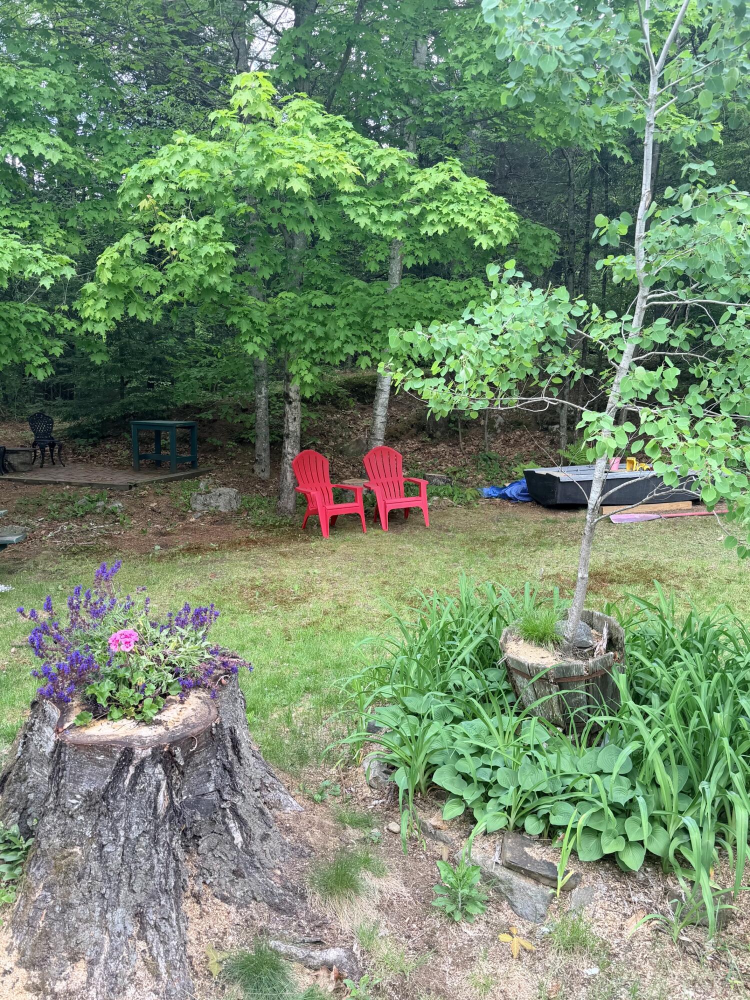 411 East Jay Road Jay, ME 04239 - Photo 43 of 44 Back yard