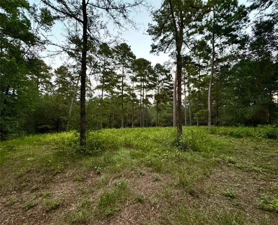 $1,149,900 | 4955 Farm To Market Road 1374, Huntsville, TX 77340