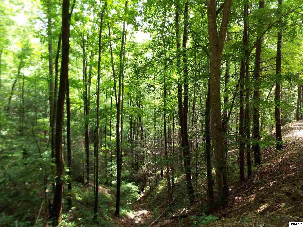 15 Meadow View Road Sevierville, TN 37862 - Photo 15 of 24