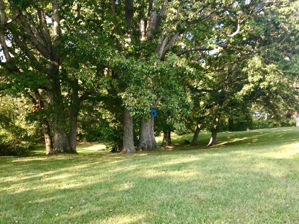 917 Kelso Road Mitchell, IN 47446 - Photo 31 of 33