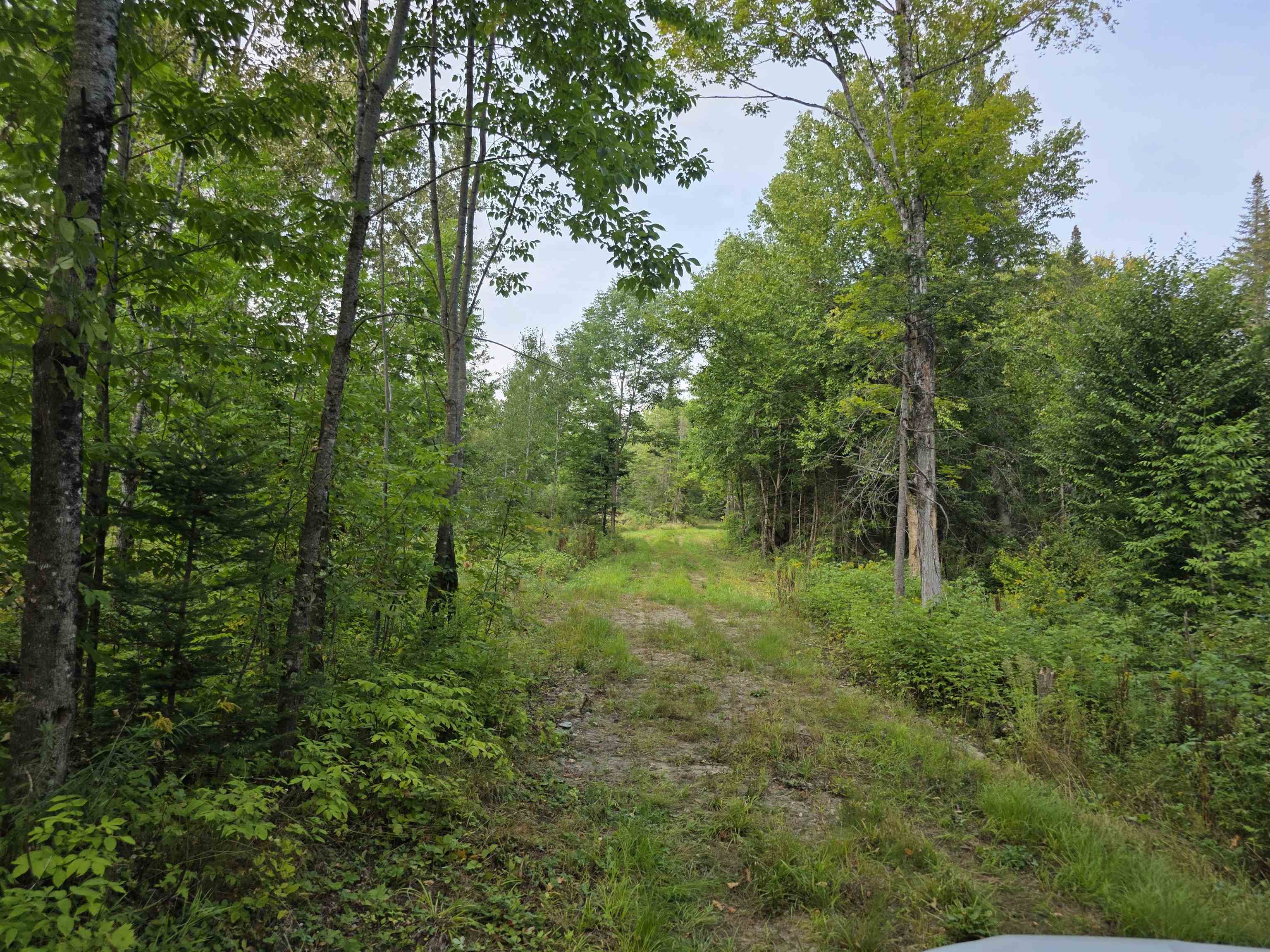 Pond Road Colebrook, NH 03576 - Photo 10 of 38