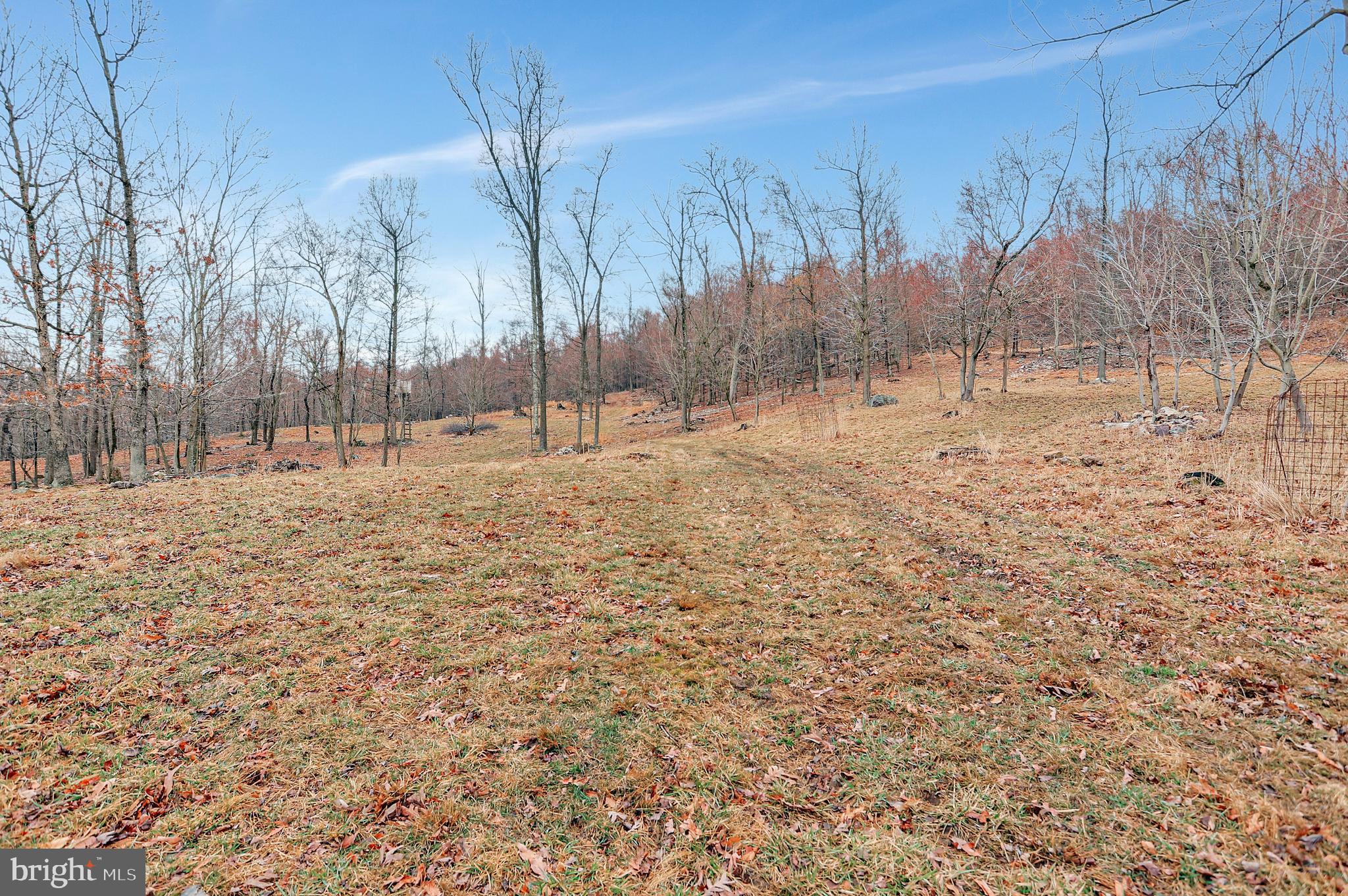 12429 Harvey Road Clear Spring, MD 21722 - Photo 40 of 46