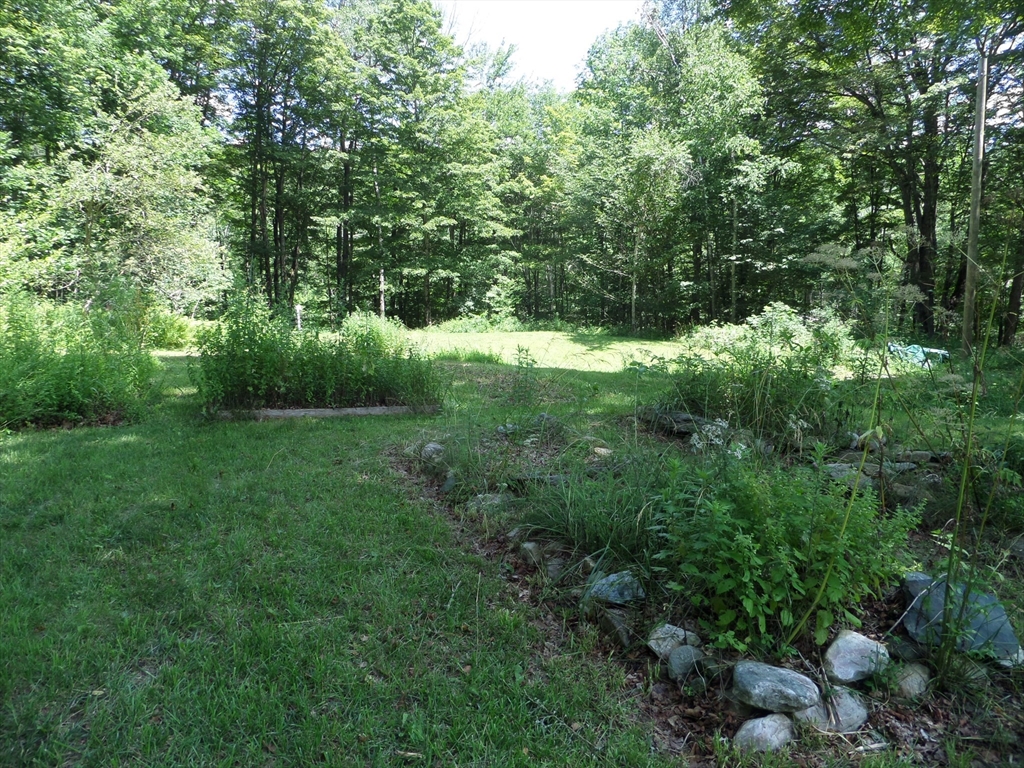 269 River Road Worthington, MA 01098 - Photo 28 of 32 a view of outdoor space and yard