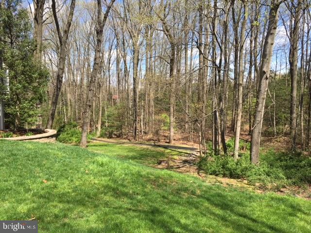 9913 Coffer Woods Road Burke, VA 22015 - Photo 25 of 26 View