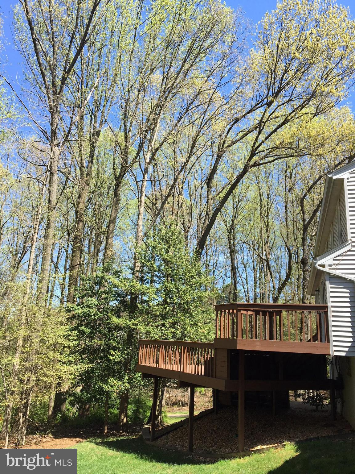 9913 Coffer Woods Road Burke, VA 22015 - Photo 26 of 26 Breathtaking setting two tiered deck & patio