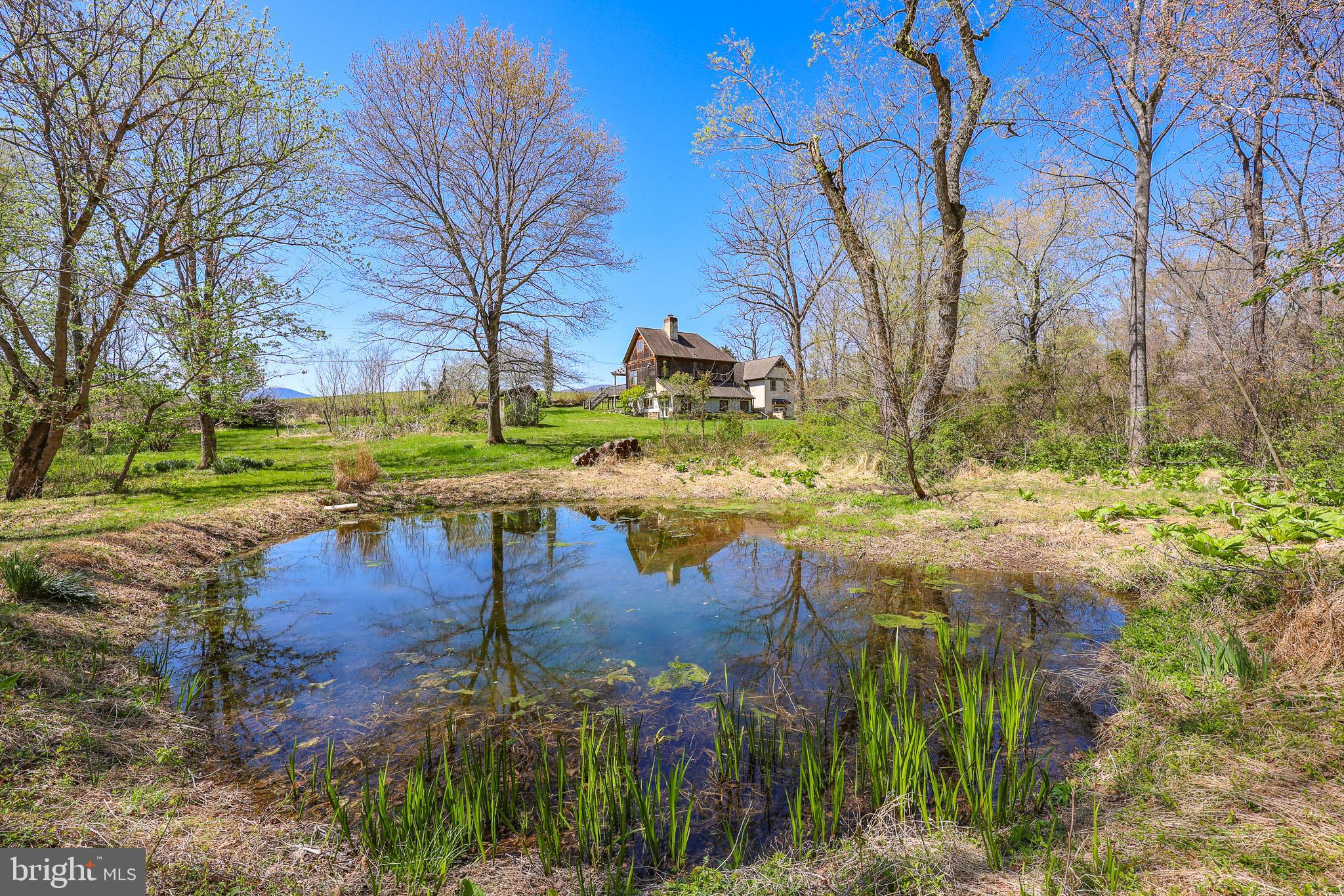 45 Shootz Hollow Road Huntly, VA 22640 - Photo 78 of 110