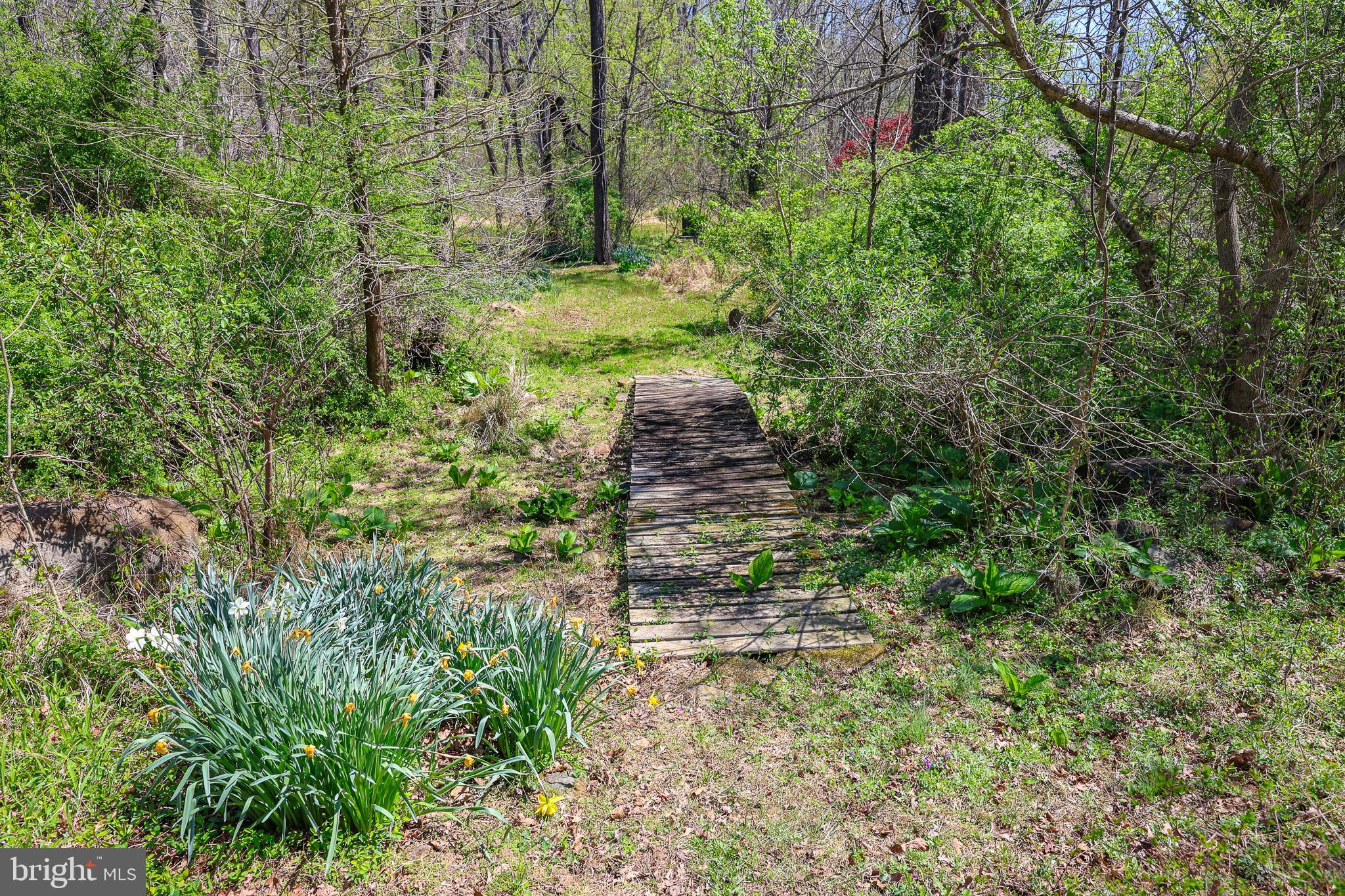 45 Shootz Hollow Road Huntly, VA 22640 - Photo 80 of 110