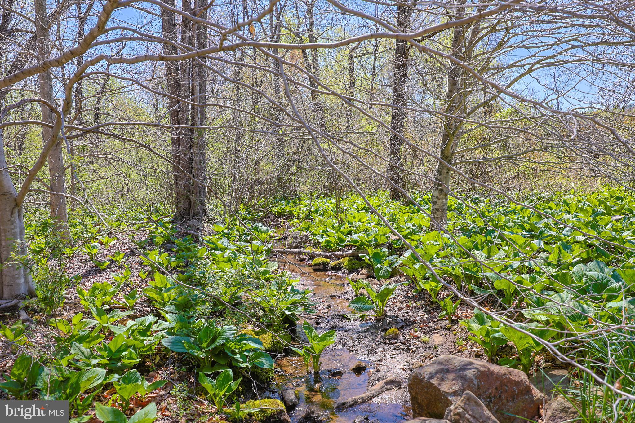 45 Shootz Hollow Road Huntly, VA 22640 - Photo 81 of 110