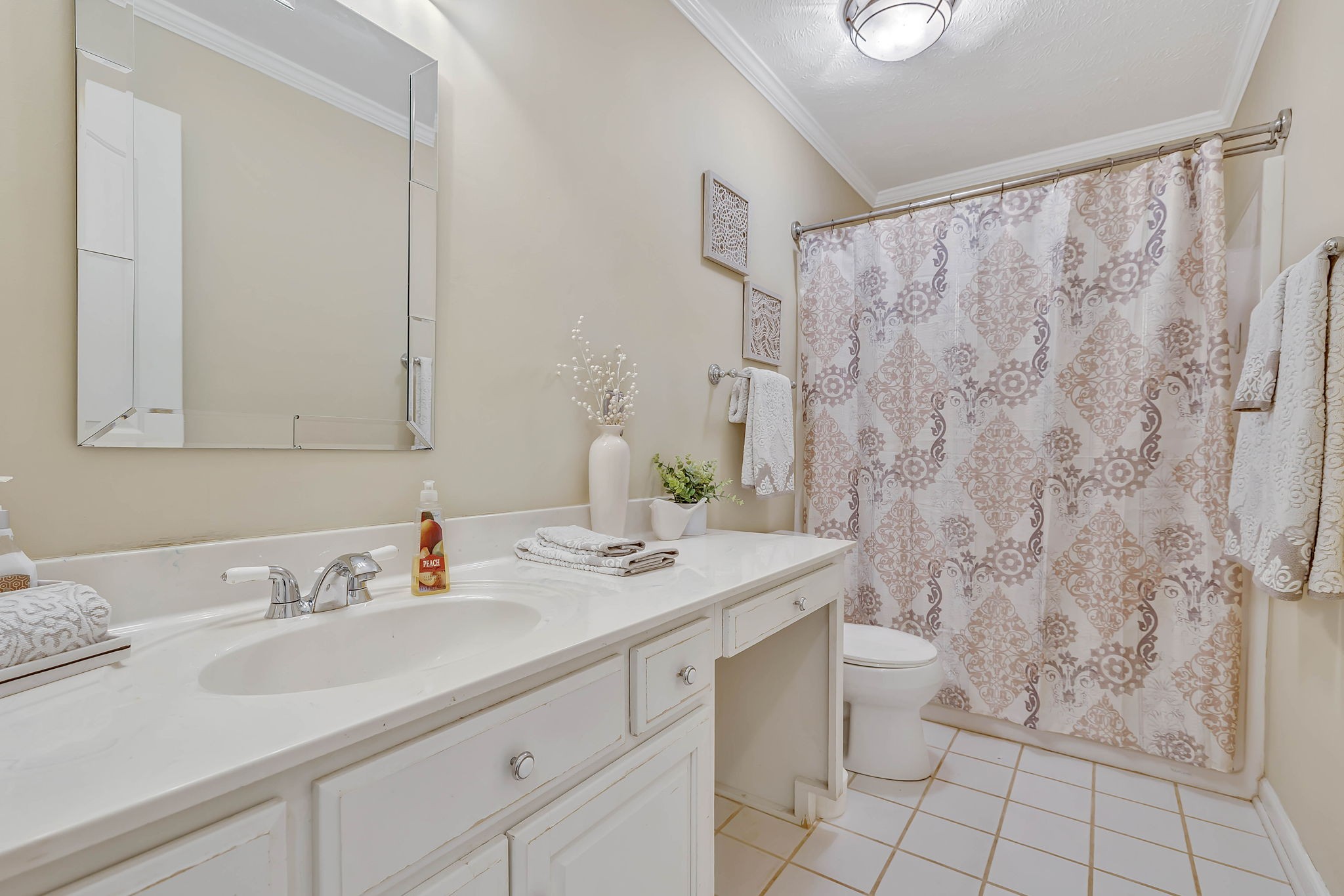 6170 Hickory Ridge Road Lebanon, TN 37090 - Photo 21 of 41 a bathroom with a sink toilet and shower