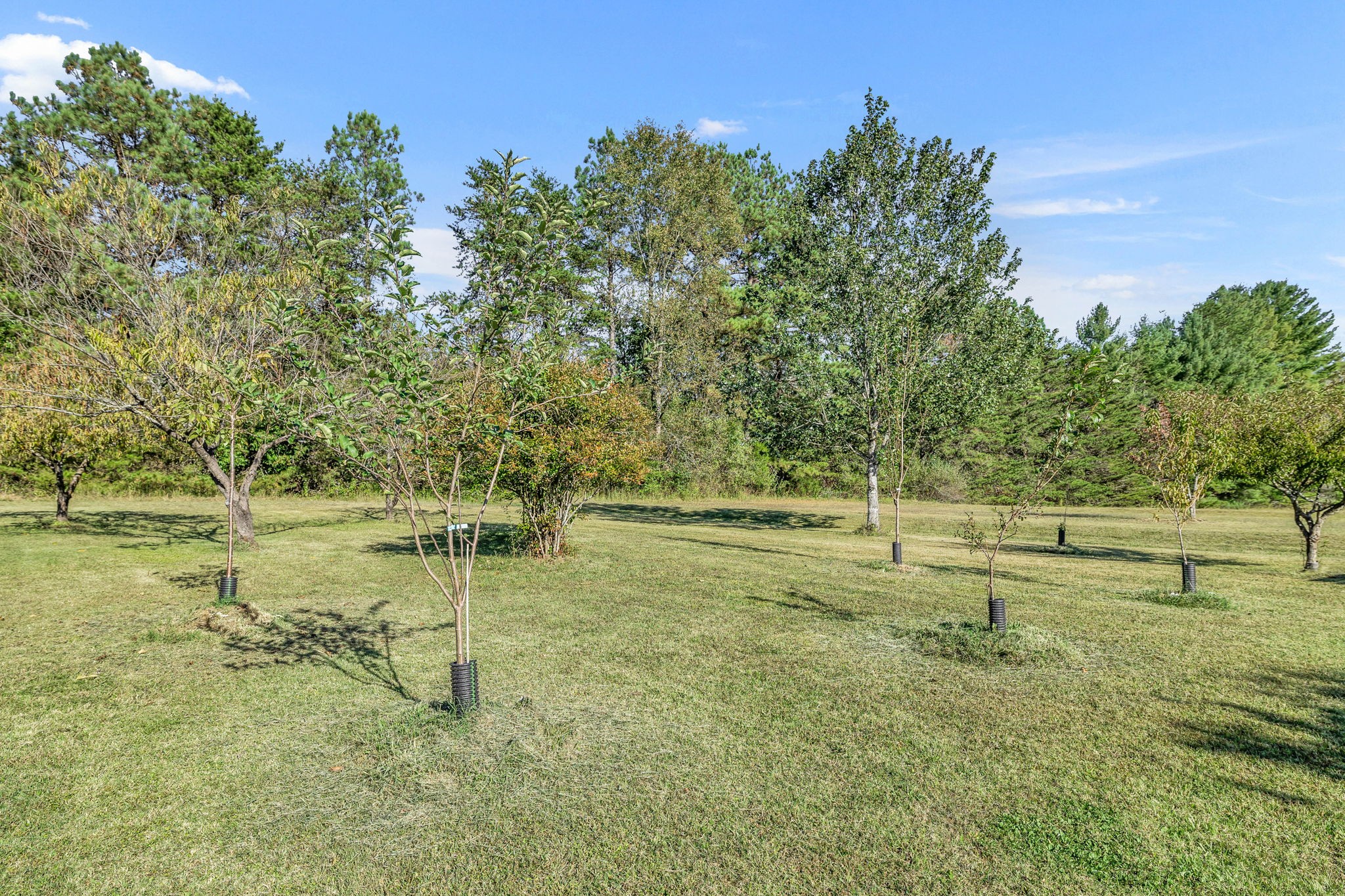 6170 Hickory Ridge Road Lebanon, TN 37090 - Photo 40 of 41 a view of a lake with a yard