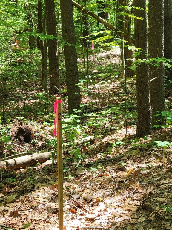 Lot 5 Daniels Road Dudley, MA 01571 - Photo 7 of 8