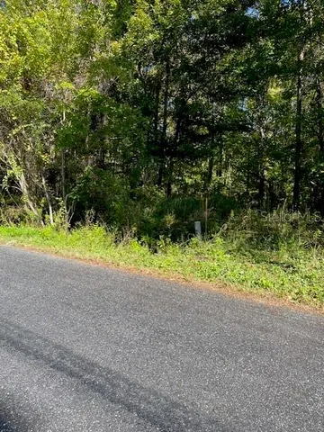 a view of outdoor space and yard