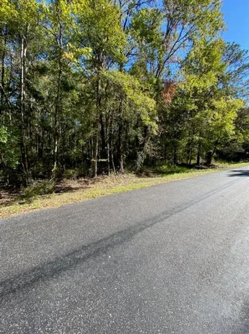 a view of swimming pool with large trees