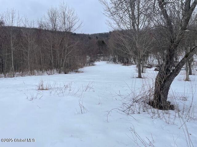 90 Mountain Road Greenwich, NY 12834 - Photo 11 of 81 wooded area