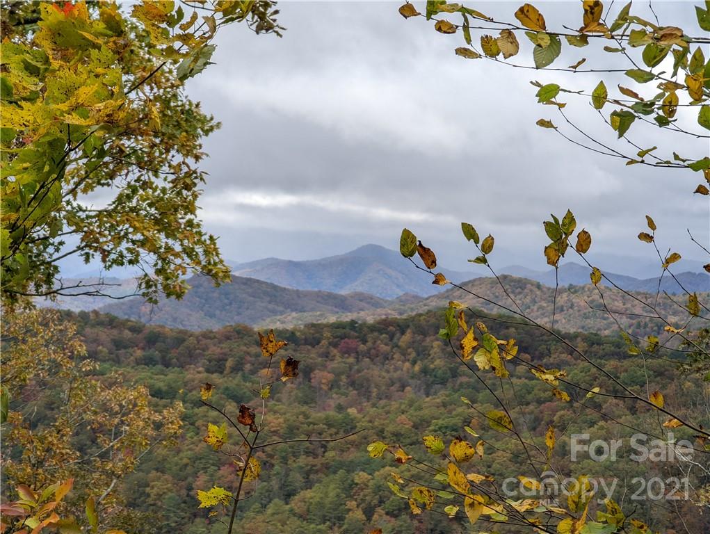 5 Ramsey Chandler Road Marshall, NC 28753 - Photo 2 of 6 a view of a painting
