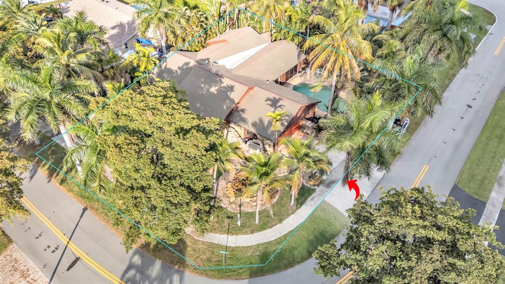 980 Southwest 70th Avenue Plantation, FL 33317 - Photo 6 of 42 a view of a painting of a tree