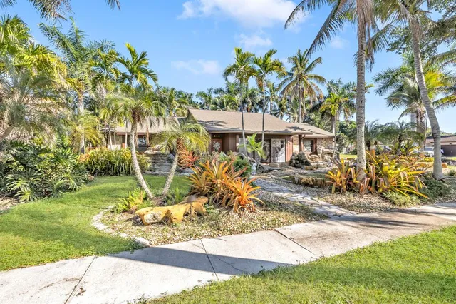 a view of a park with plants and trees