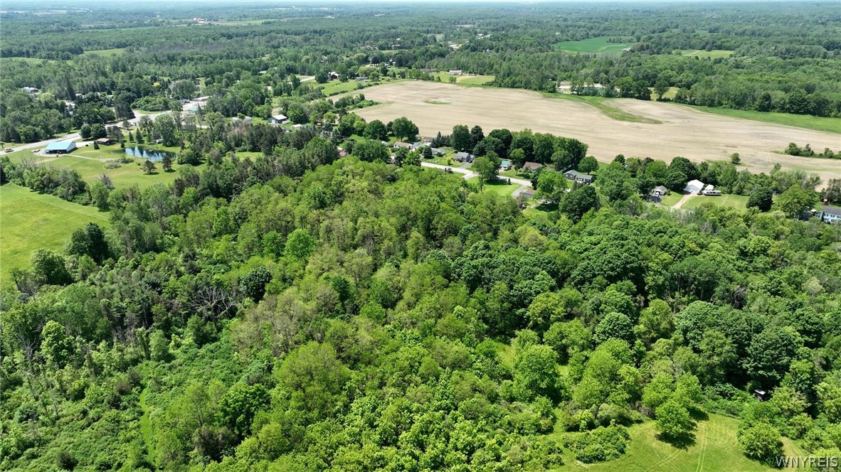 Hartshorn Road Corfu, NY 14036 - Photo 5 of 14