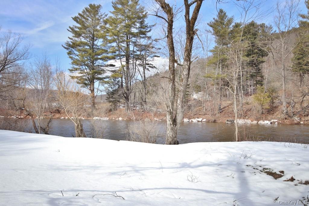53 Yorktown Road Roscoe, NY 12776 - Photo 31 of 35 Willowemoc Creek
