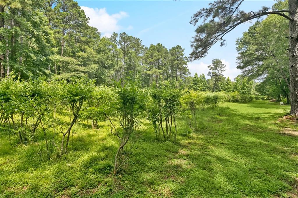 75581 North Hayes Road Kentwood, LA 70444 - Photo 26 of 36