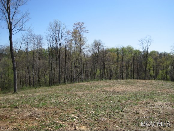 Lot 1 Warren Chapel Road Fleming, OH 45729 - Photo 1 of 5 Gallery Image 1