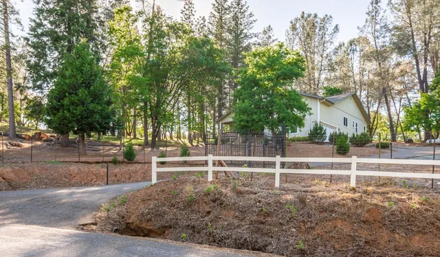 a view of a park with large trees