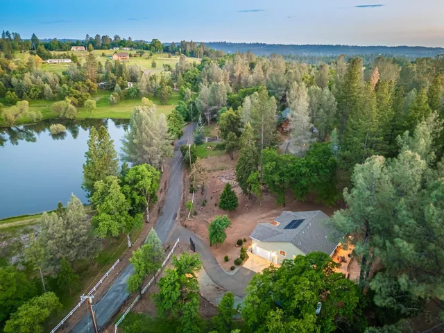 a view of a trees in a yard