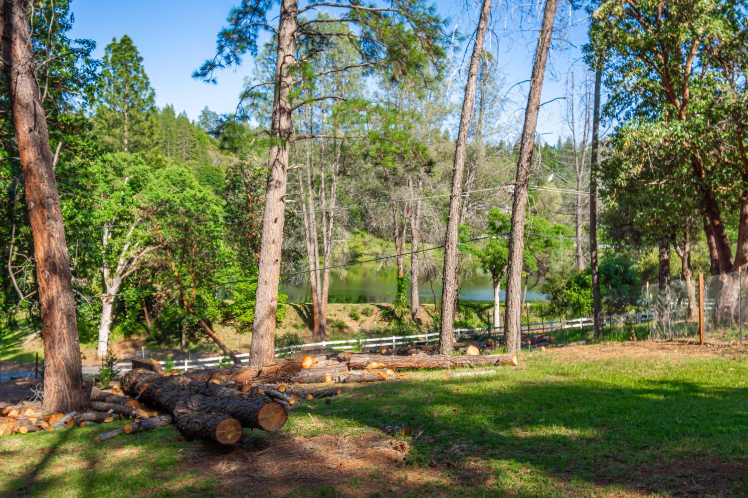 6570 Mosquito Road Placerville, CA 95667 - Photo 49 of 56 a view of a park with large trees