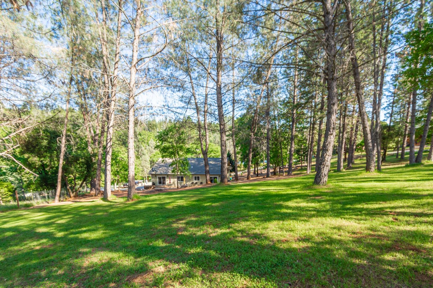 6570 Mosquito Road Placerville, CA 95667 - Photo 56 of 56 a view of a park with large trees
