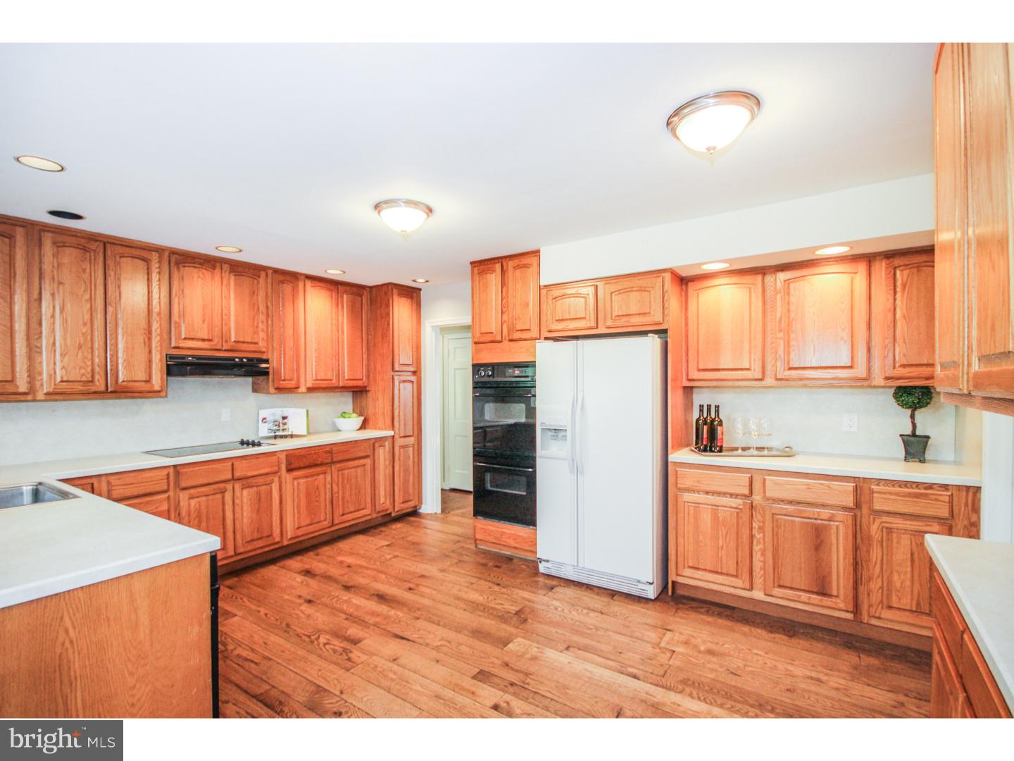 100 Mcclenaghan Mill Road Wynnewood, PA 19096 - Photo 8 of 21 Gallery Image 8