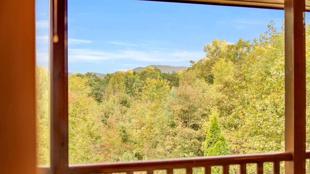 691 Mitchell Branch Road Morganton, GA 30560 - Photo 38 of 77