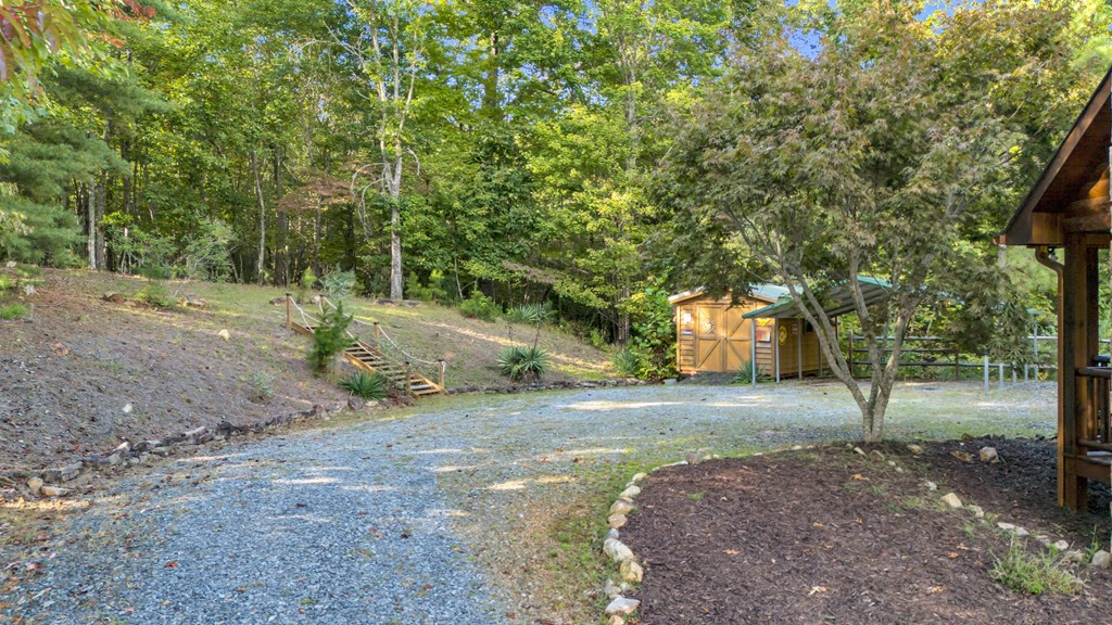 691 Mitchell Branch Road Morganton, GA 30560 - Photo 65 of 77 a view of dirt yard with a trees