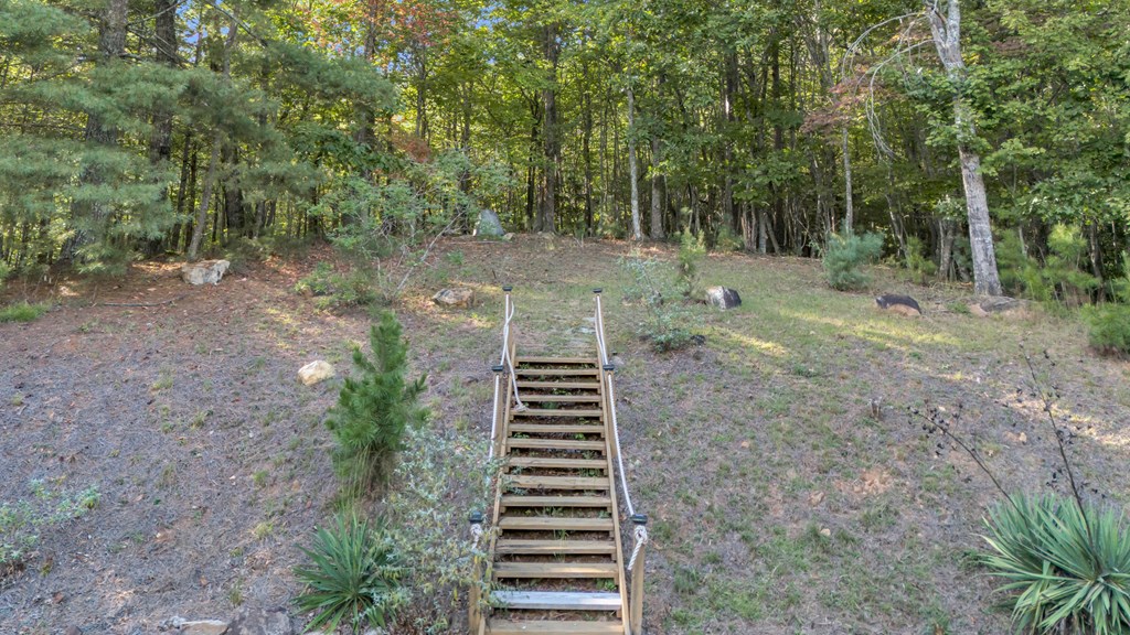 691 Mitchell Branch Road Morganton, GA 30560 - Photo 66 of 77 a backyard of a house with lots of plants and trees