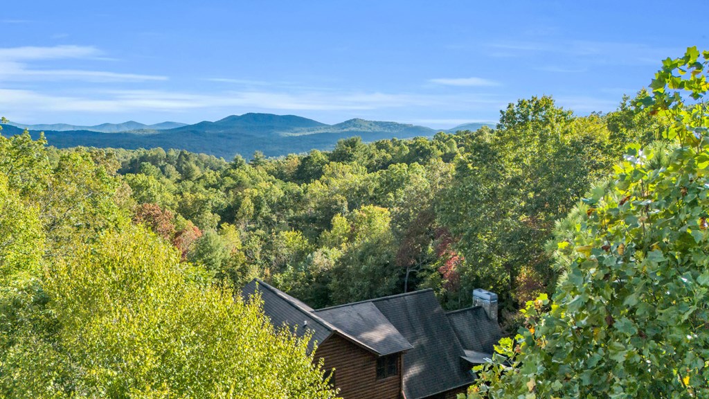 691 Mitchell Branch Road Morganton, GA 30560 - Photo 74 of 77