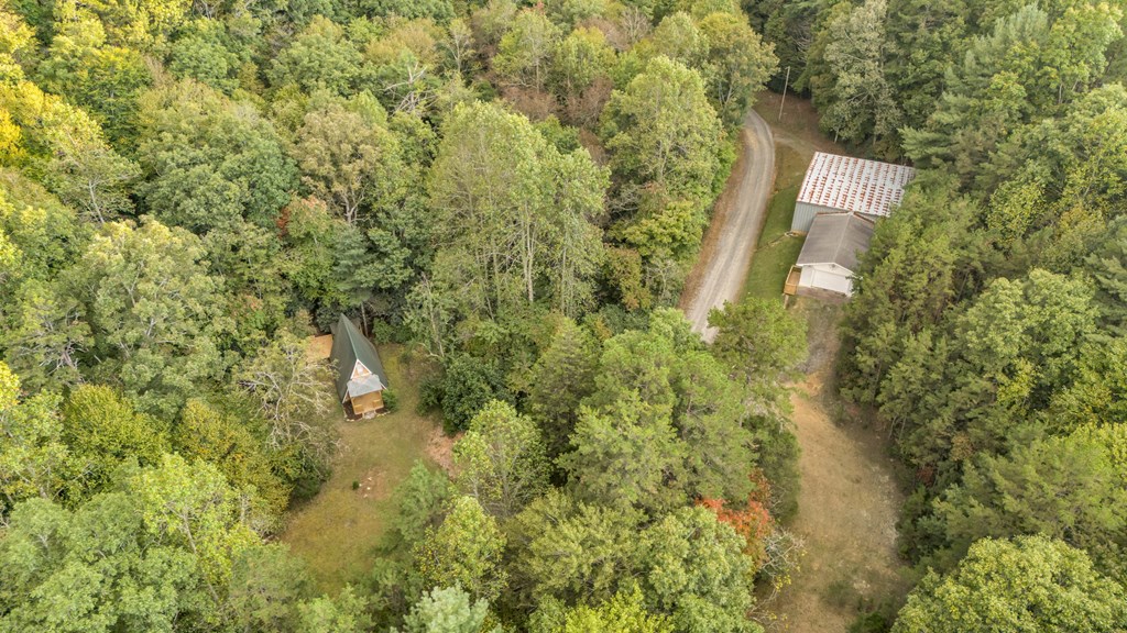 691 Mitchell Branch Road Morganton, GA 30560 - Photo 76 of 77