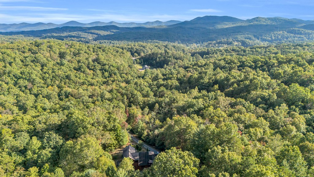 691 Mitchell Branch Road Morganton, GA 30560 - Photo 77 of 77