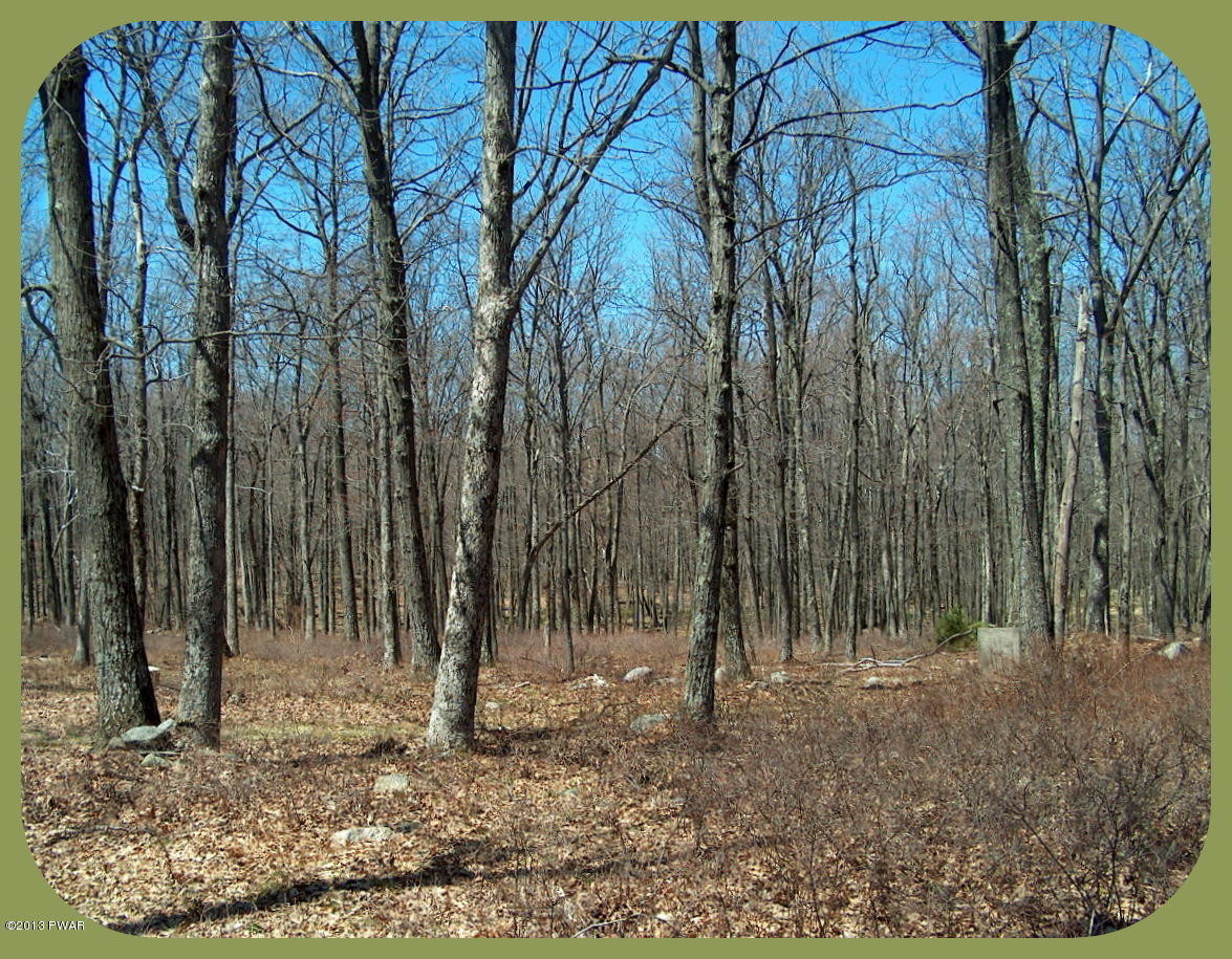 156 3 Legged Swamp Road Canadensis, PA 18325 - Photo 10 of 72