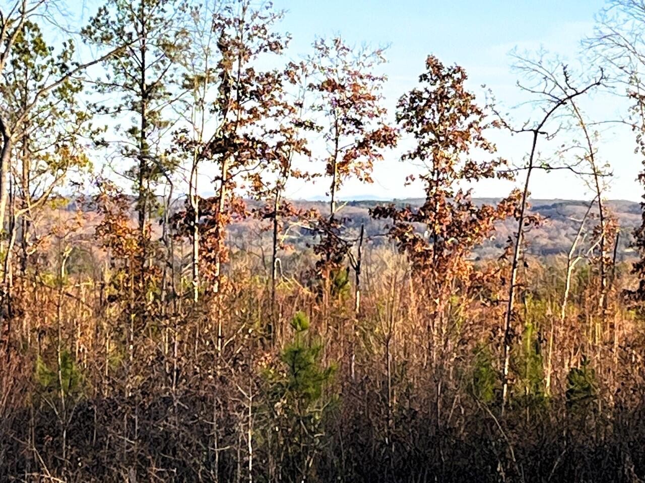 1675 Euchee Road Ten Mile, TN 37880 - Photo 3 of 30