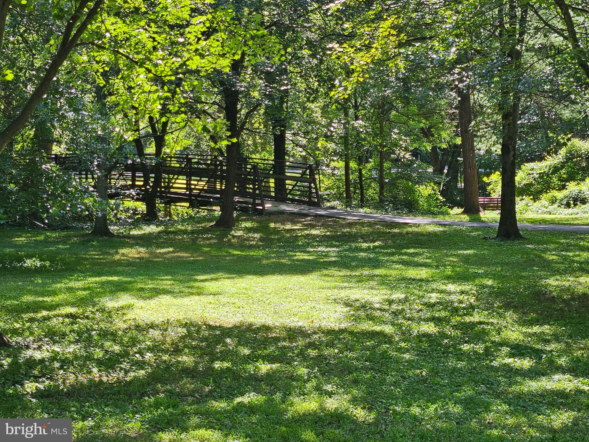 302 Ellsworth Drive Silver Spring, MD 20910 - Photo 57 of 64 a big yard with lots of green space and trees