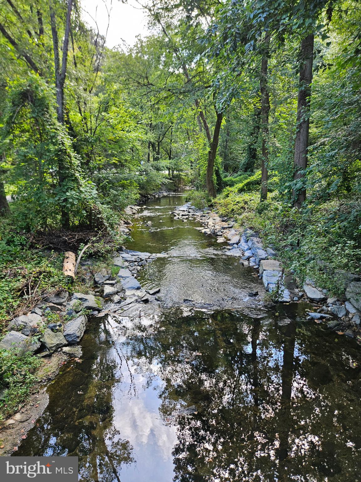 302 Ellsworth Drive Silver Spring, MD 20910 - Photo 58 of 64