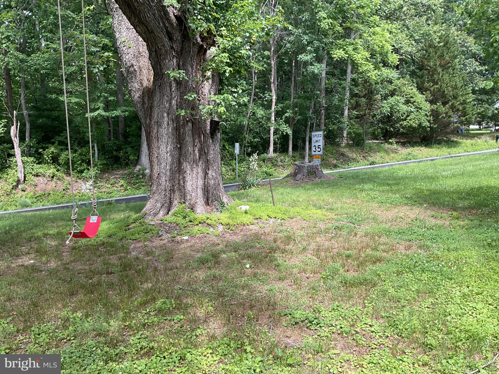 6774 Leeds Manor Road Marshall, VA 20115 - Photo 19 of 24