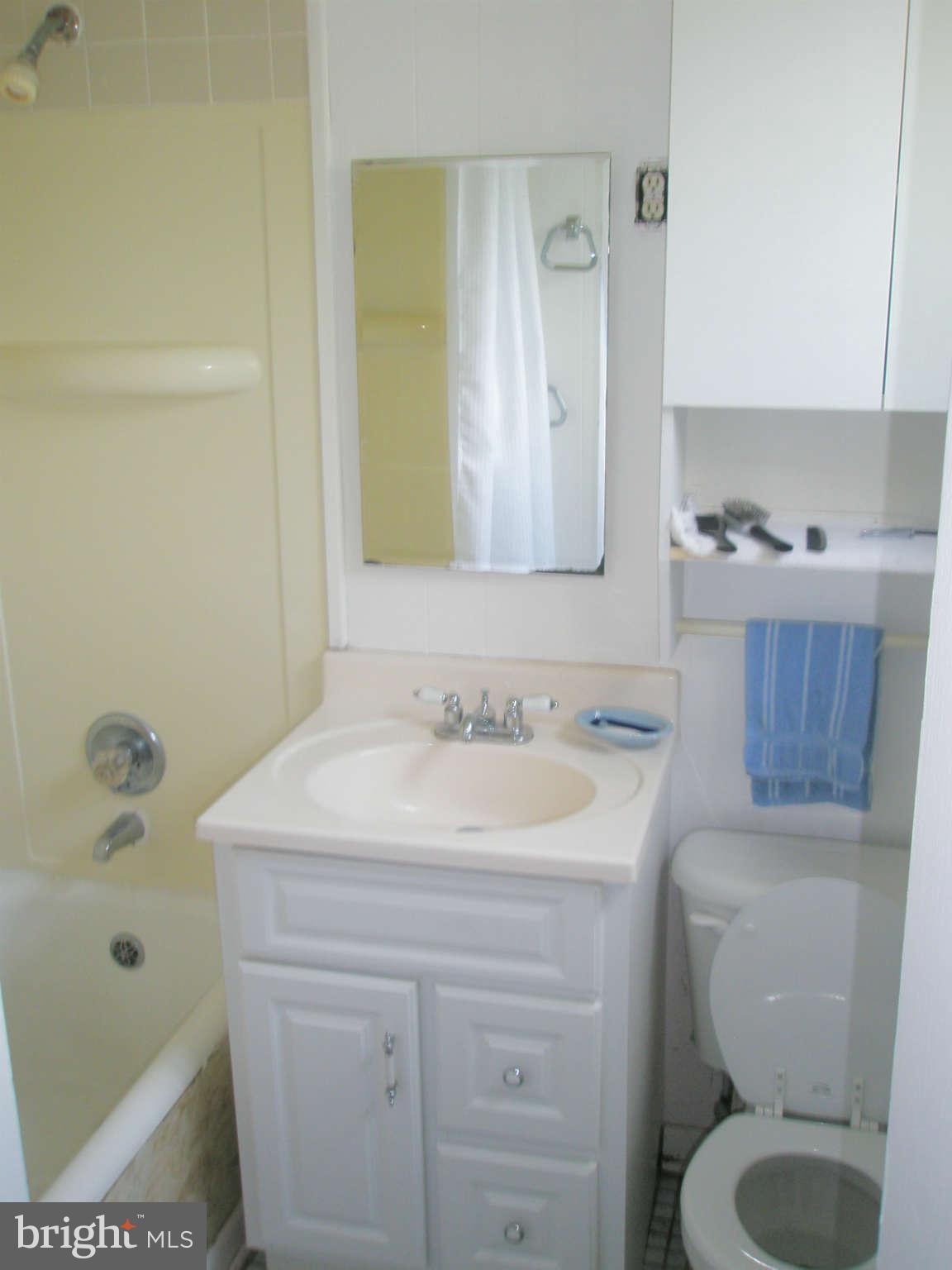 42 Ridge Road, Unit G Greenbelt, MD 20770 - Photo 8 of 8 Bath